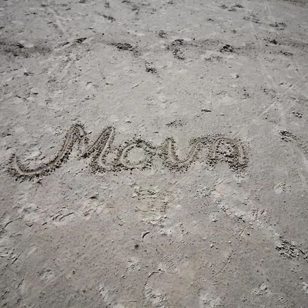 Moin Am Deich - Deich 13 C 61 * Norddeich (Norden)